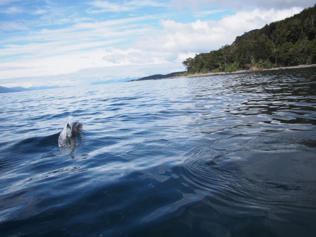 Tierra del Fuego