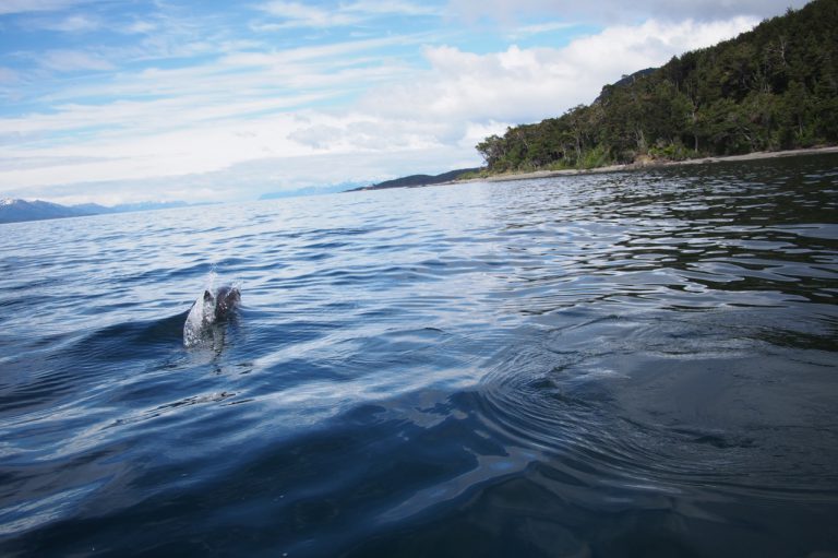 Tierra del Fuego