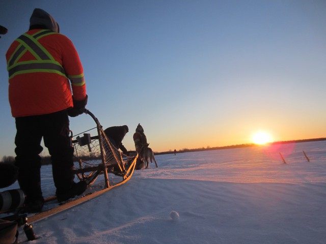 Ice Roads – dog sledge