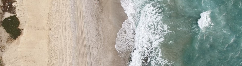 Waves