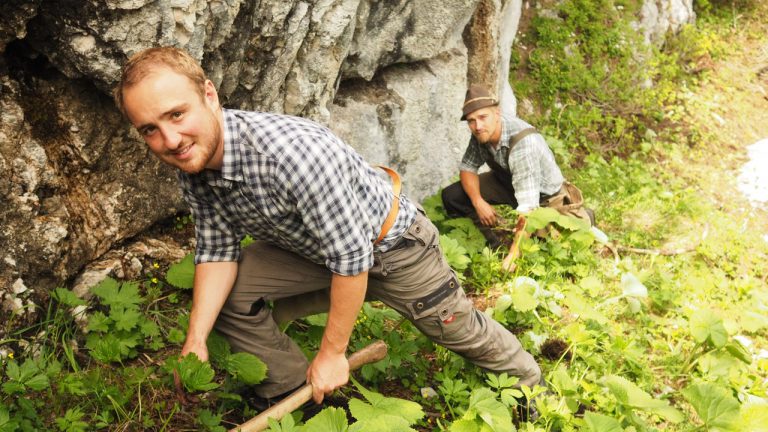 Lukas Schöbinger und Max Irlinger beim Wurzelgraben