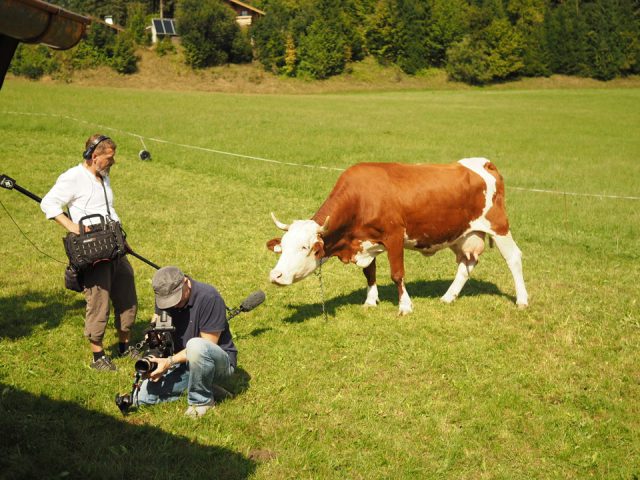 DOP Johannes Straub für “Heimatleuchten”