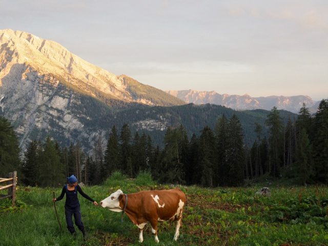 Blick von der Priesbergalm zum Watzmann