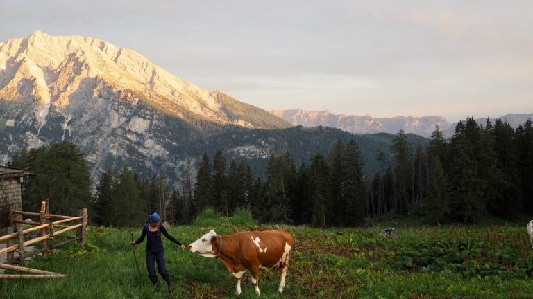 Blick von der Priesbergalm zum Watzmann