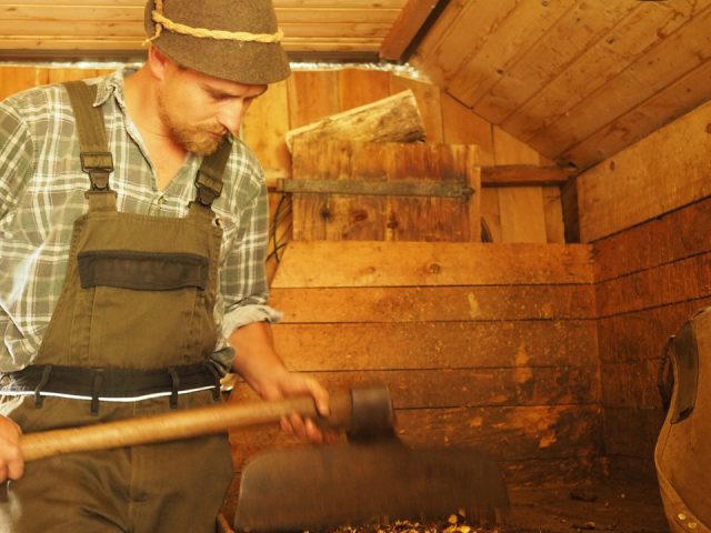 Max Irlinger hackt die Wurzel des Meisterwurz klein