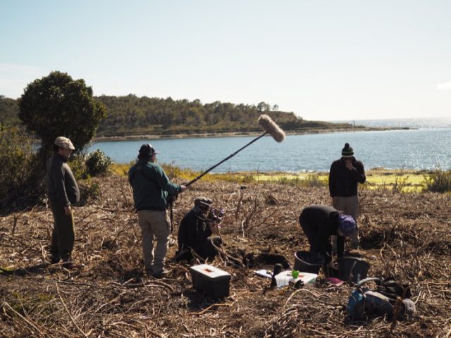 Archaeological site in Patagonia