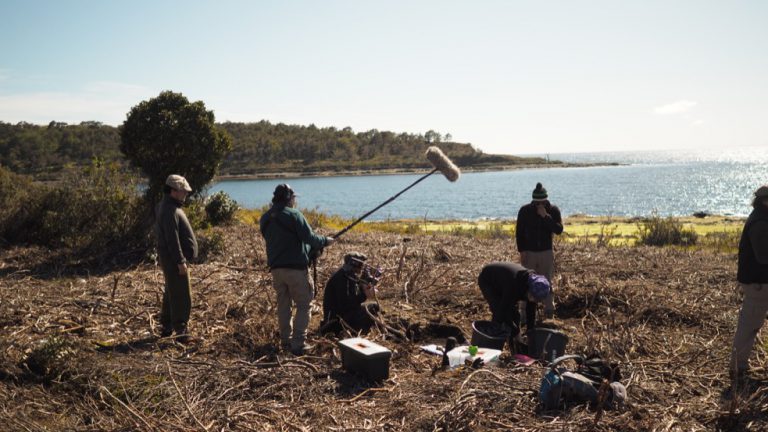 Archaeological site in Patagonia