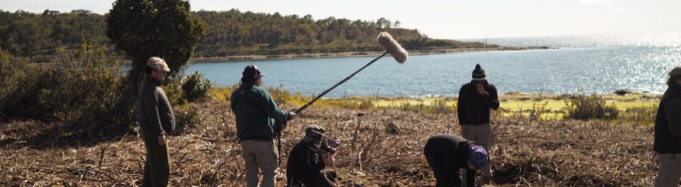 Archaeological site in Patagonia