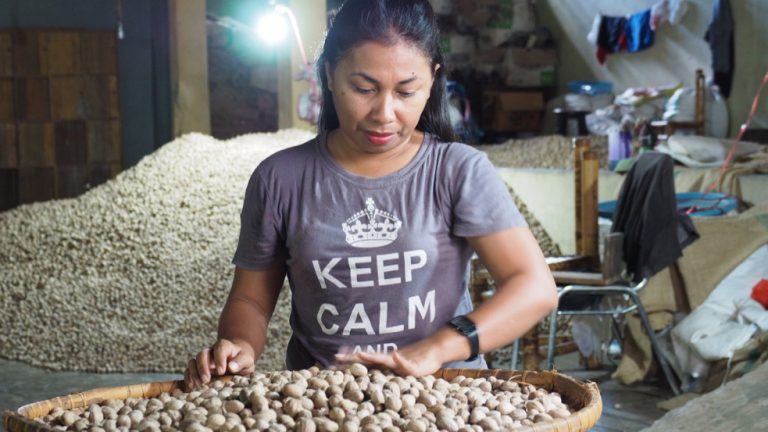 Spice trade in Ternate