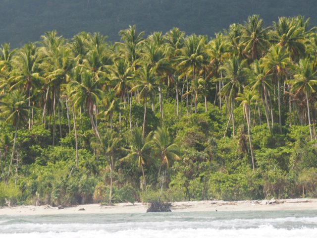 Coast of Ternate