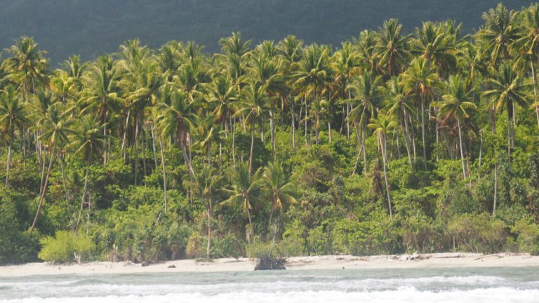 Coast of Ternate