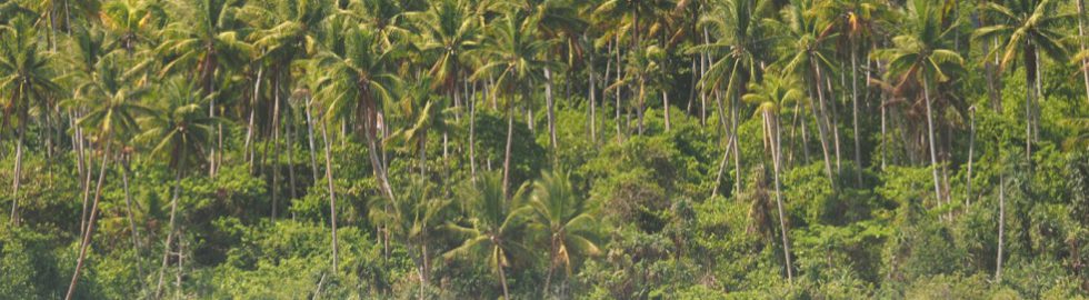 Coast of Ternate