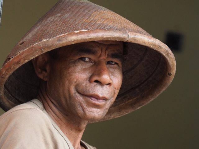 Clove farmer in Tidore