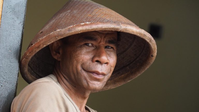 Clove farmer in Tidore