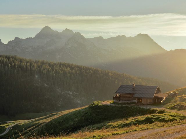 Kallbrunnalm, Paulinger Hofladen, St. Martin bei Lofer